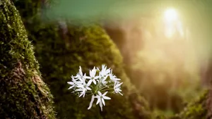 Open your heart & everything becomes possible